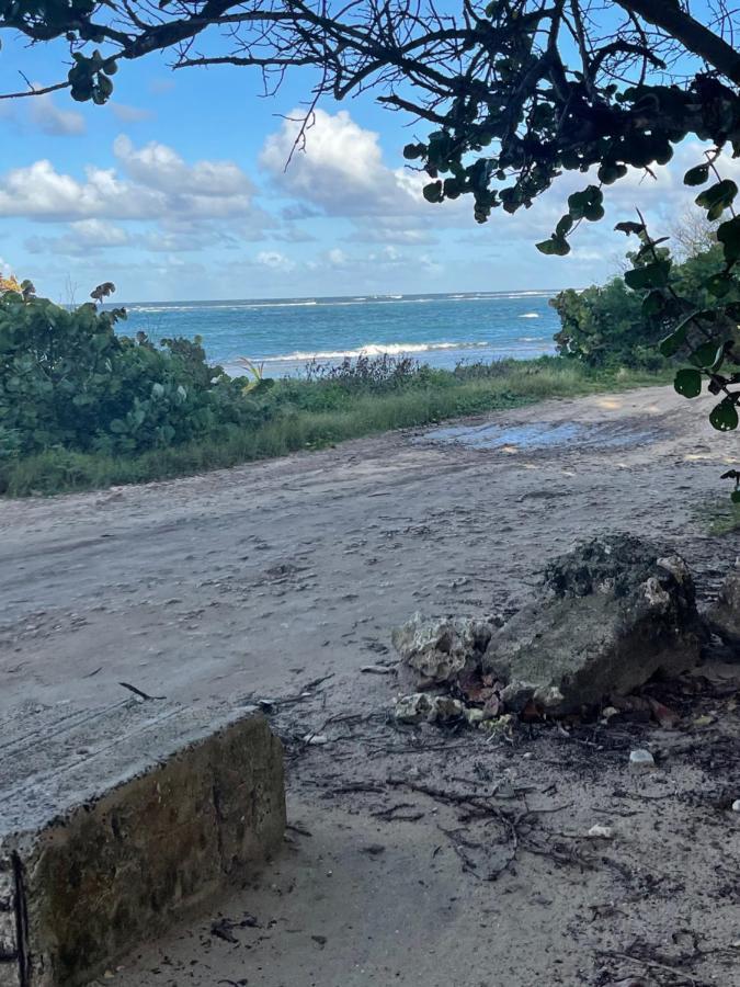 2 Bungalows Au Bord De La Plage De Montal A Moule Loues Individuellement Ou Ensemble Le Moule Zewnętrze zdjęcie